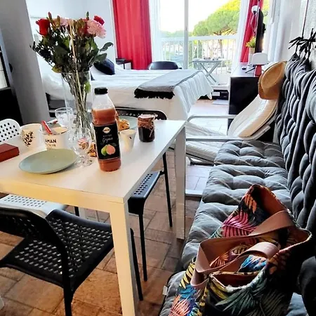 La Croisiere View Renovated Air-conditioned Parking Balco Apartment Le Grau-du-Roi